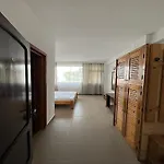 Stefania 科斯蒂内什蒂